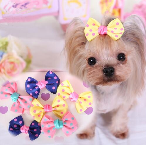 10Pcs/lot Fashion Pet Hair Accessories Yorkshire Chihuahua Wig