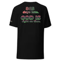 Juneteenth 865 Days Late Unisex Eco T-shirt